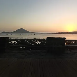 https://el-medano-el-medano-tenerife-38612-2.in-canary-islands.com